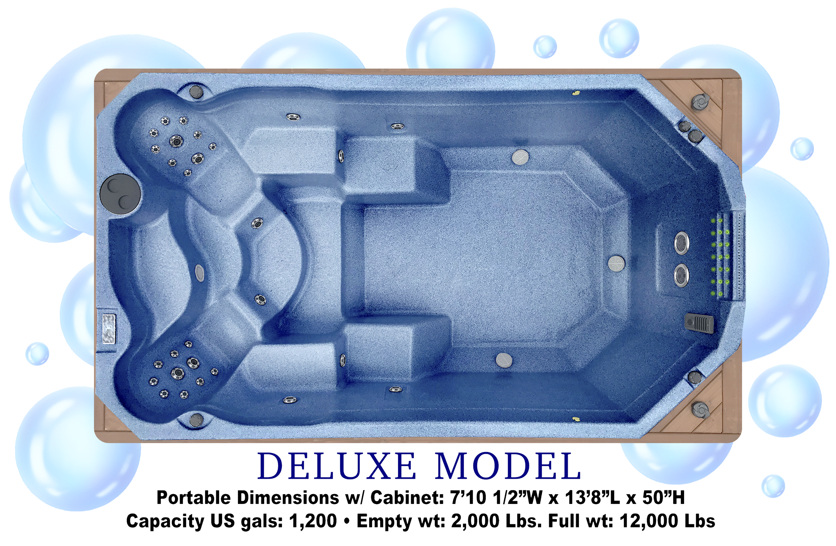 Deluxe Swim Spa