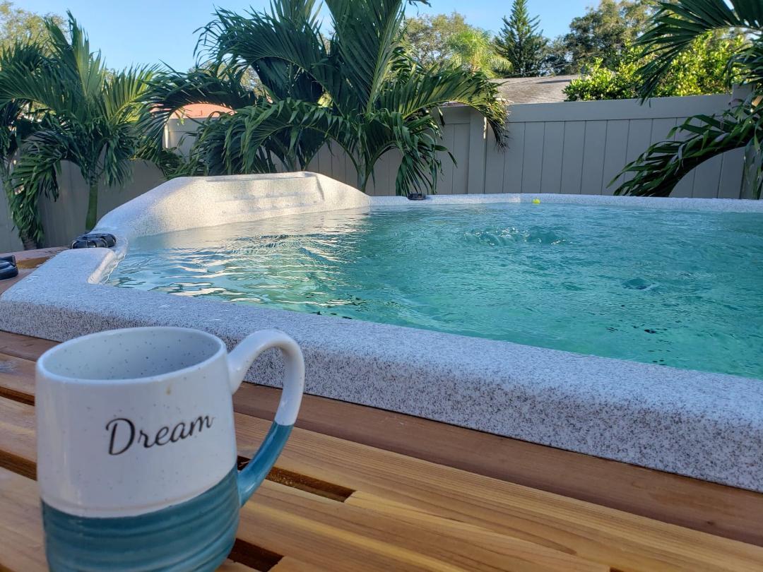 Swim Spa Dream