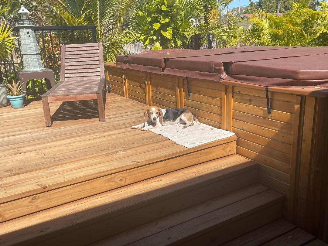 Swim Spa Cover